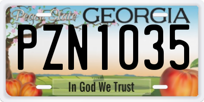 GA license plate PZN1035