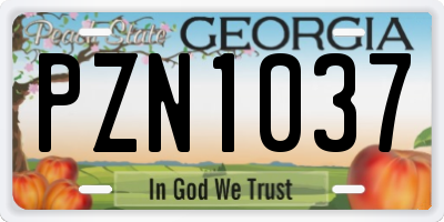 GA license plate PZN1037