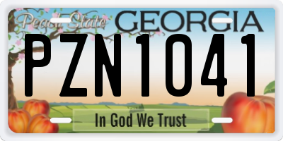 GA license plate PZN1041