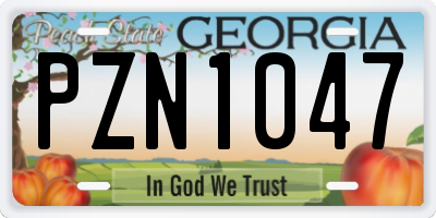 GA license plate PZN1047