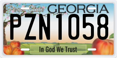 GA license plate PZN1058