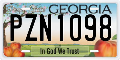 GA license plate PZN1098
