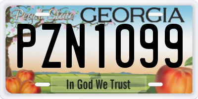 GA license plate PZN1099