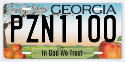 GA license plate PZN1100