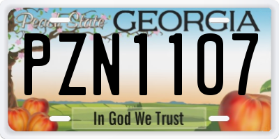 GA license plate PZN1107