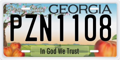GA license plate PZN1108
