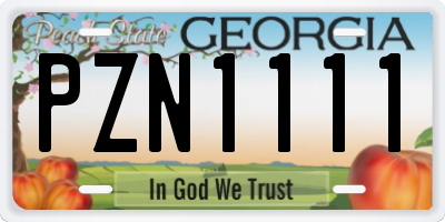 GA license plate PZN1111