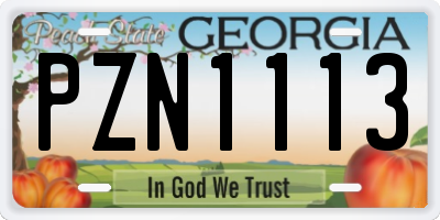 GA license plate PZN1113