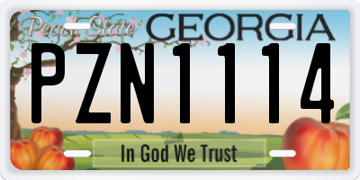 GA license plate PZN1114