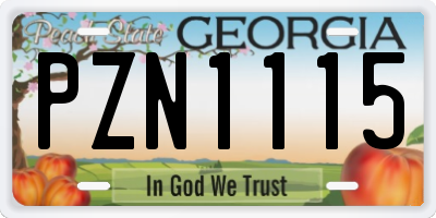 GA license plate PZN1115