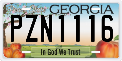 GA license plate PZN1116