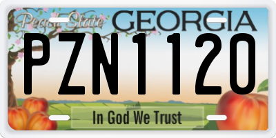 GA license plate PZN1120