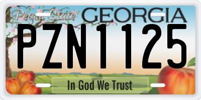 GA license plate PZN1125