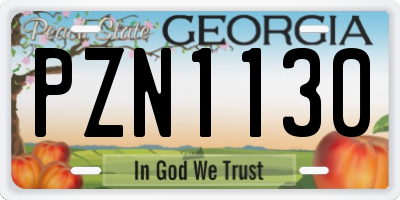 GA license plate PZN1130