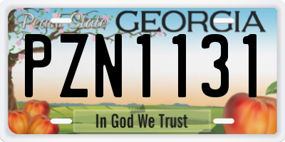 GA license plate PZN1131