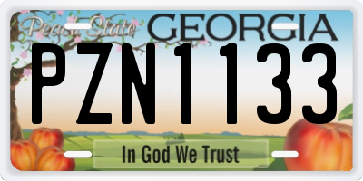 GA license plate PZN1133