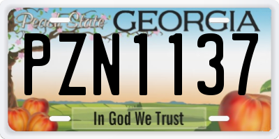 GA license plate PZN1137