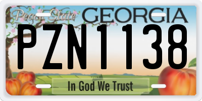 GA license plate PZN1138