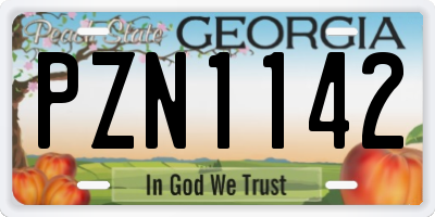 GA license plate PZN1142