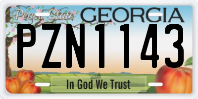 GA license plate PZN1143