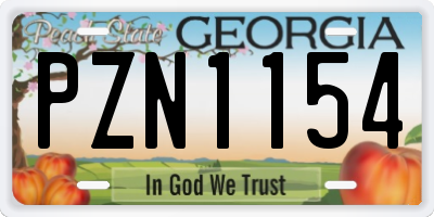 GA license plate PZN1154