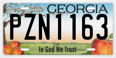 GA license plate PZN1163