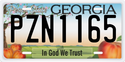 GA license plate PZN1165
