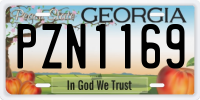 GA license plate PZN1169