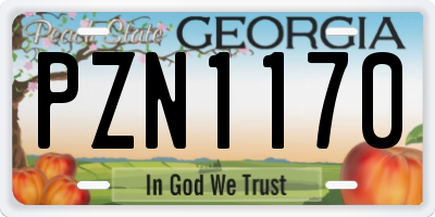 GA license plate PZN1170