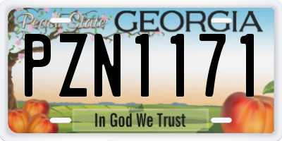 GA license plate PZN1171