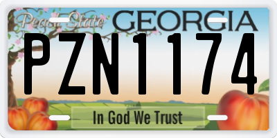 GA license plate PZN1174