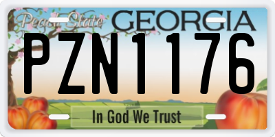 GA license plate PZN1176