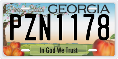 GA license plate PZN1178