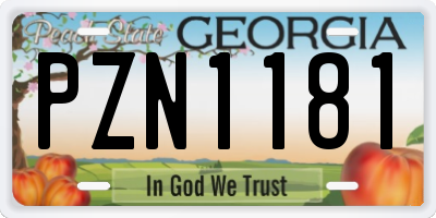 GA license plate PZN1181