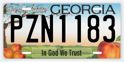 GA license plate PZN1183