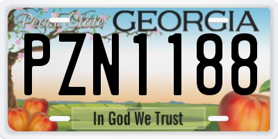 GA license plate PZN1188