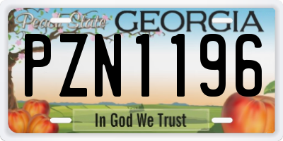 GA license plate PZN1196