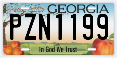GA license plate PZN1199