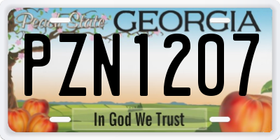 GA license plate PZN1207