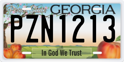 GA license plate PZN1213