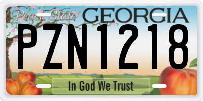 GA license plate PZN1218