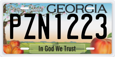 GA license plate PZN1223