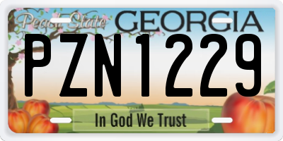 GA license plate PZN1229