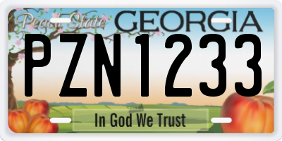 GA license plate PZN1233