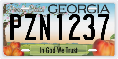 GA license plate PZN1237