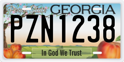 GA license plate PZN1238