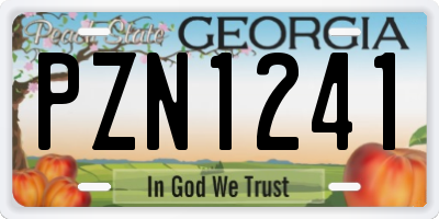 GA license plate PZN1241