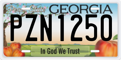 GA license plate PZN1250