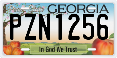 GA license plate PZN1256