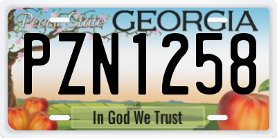 GA license plate PZN1258